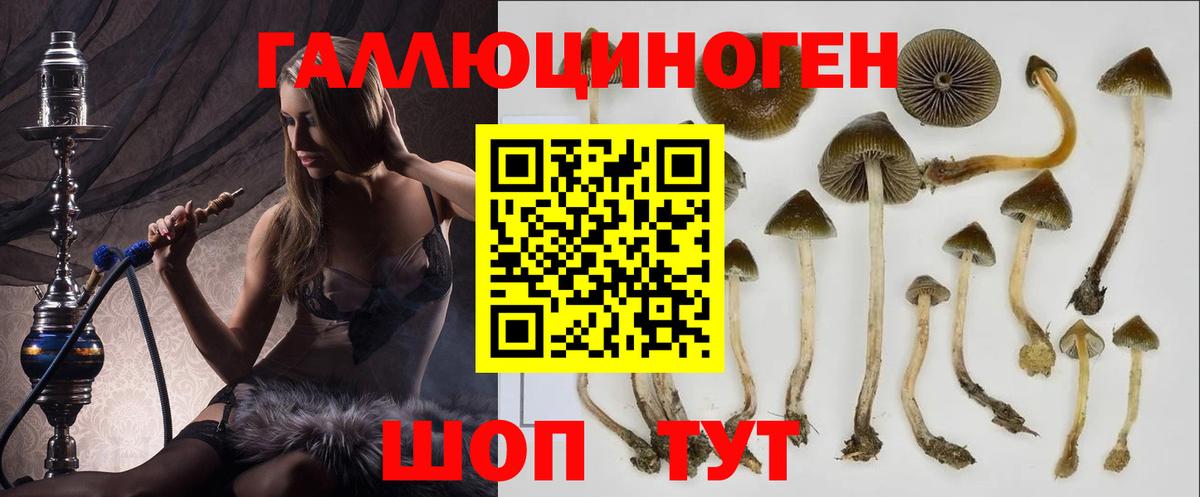 Алушта  Псилоцибиновые грибы GOLDEN TEACHER  Вход с VPN  Псилоцибиновые грибы MAGIC MUSHROOMS 
